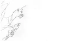 dracorn_guard_01-1-fdcx